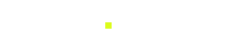 Wasp Aerodynamics logo in white, featuring a streamlined, modern design that emphasizes innovation, precision, and cutting-edge performance.